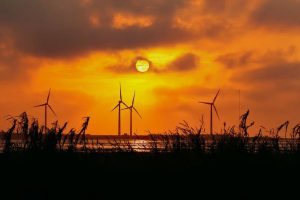 Erneuerbare Energien: Sonne, Wind, Wasser, Bioenergie