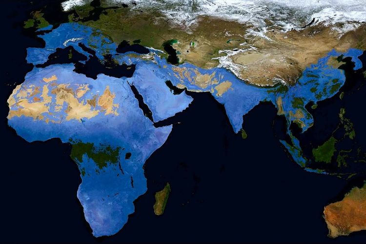 Ausbreitung der Acheulean Kultur