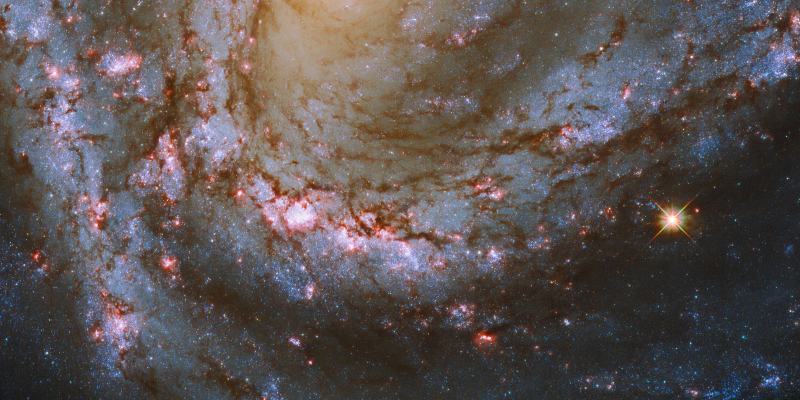 Mensch-Erde-Universum